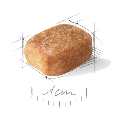 Royal Canin Thức Ăn Hạt Dành Cho Chó Chihuahua Trưởng Thành 1.5kg