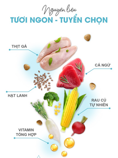 Catsrang Thức Ăn Hạt Dành Cho Mèo Trưởng Thành Túi 2kg