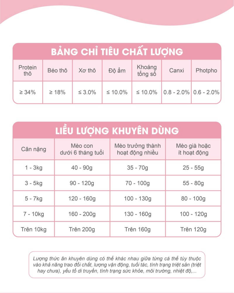 Catsrang Thức Ăn Hạt Dành Cho Mèo Con Túi 2 kg