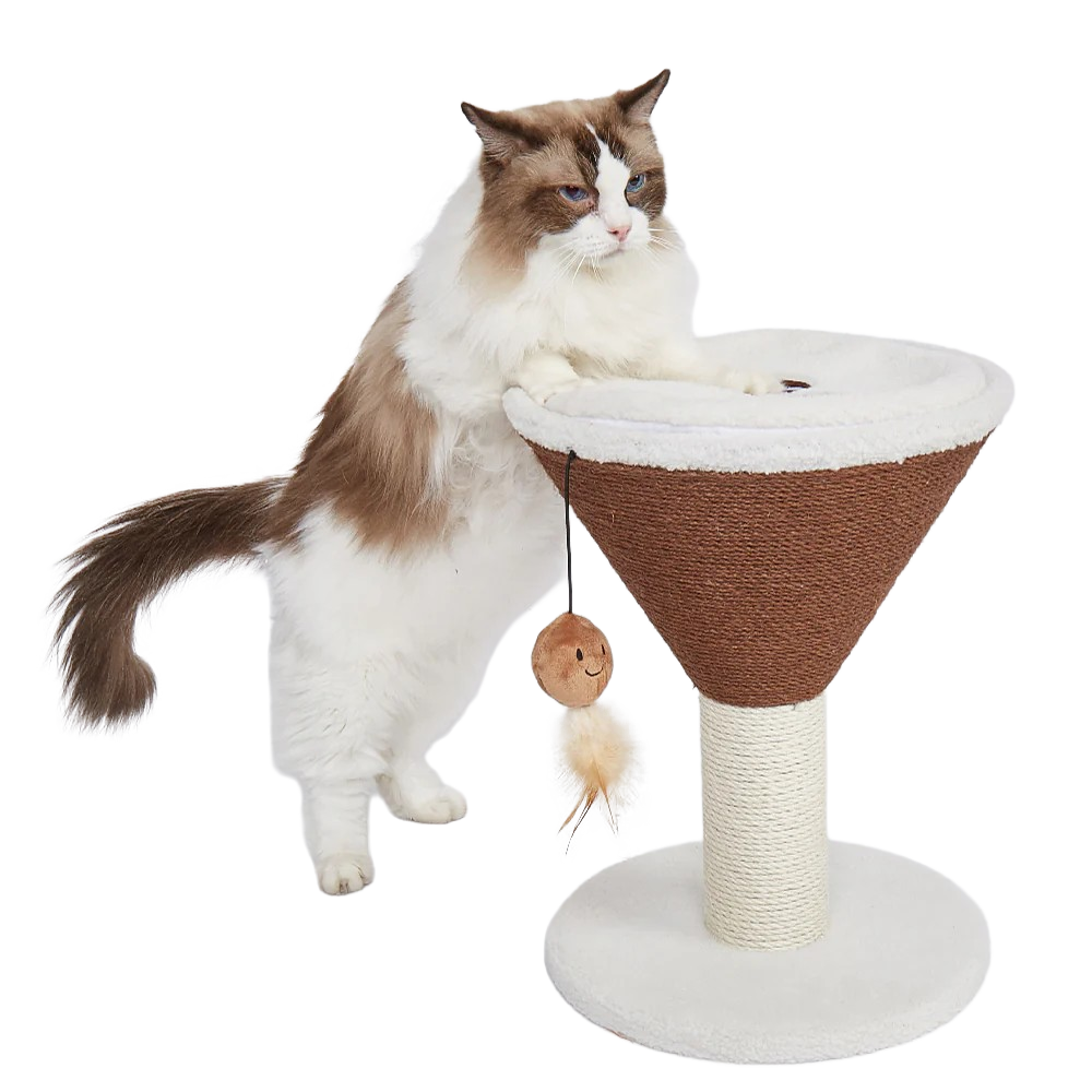 FOFOS Trụ Cào Móng Hình Ly Cà Phê Espresso Martini Cho Mèo – Kèm Bóng Lông Vũ Treo 42x35x35cm