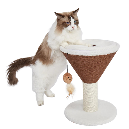 FOFOS Trụ Cào Móng Hình Ly Cà Phê Espresso Martini Cho Mèo – Kèm Bóng Lông Vũ Treo 42x35x35cm