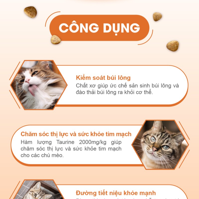 Catsrang Thức Ăn Hạt Dành Cho Mèo Ở Mọi Lứa Tuổi Túi 3kg