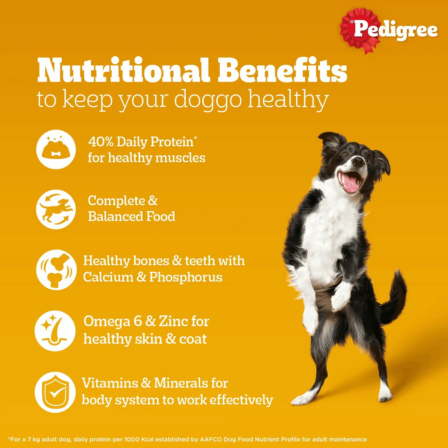 Pedigree Thức Ăn Hạt Stage 2 Dành Cho Chó Con Vị Gà, Trứng & Sữa