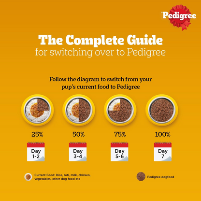 Pedigree Thức Ăn Hạt Stage 2 Dành Cho Chó Con Vị Gà, Trứng & Sữa