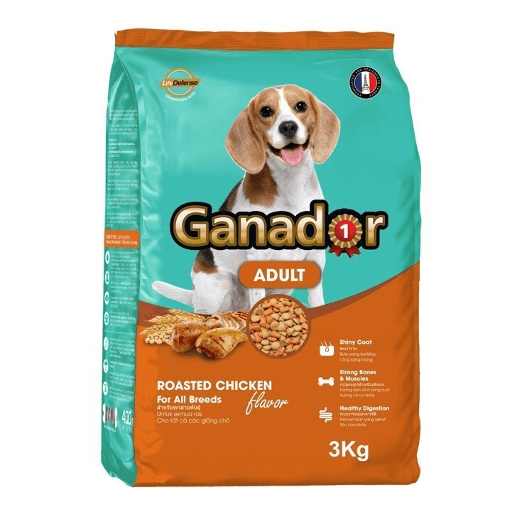 GANADOR CHÓ TRƯỞNG THÀNH - Ganador