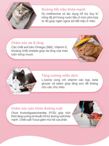 Catsrang Thức Ăn Hạt Dành Cho Mèo Mẹ Và Mèo Con Túi 400g