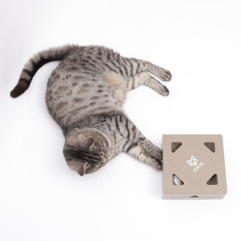 FOFOS Hộp Lông Vũ Ngẫu Nhiên Bản USB – Đồ Chơi Tương Tác Tự Động Cho Mèo 17.7x17.7x6.5cm