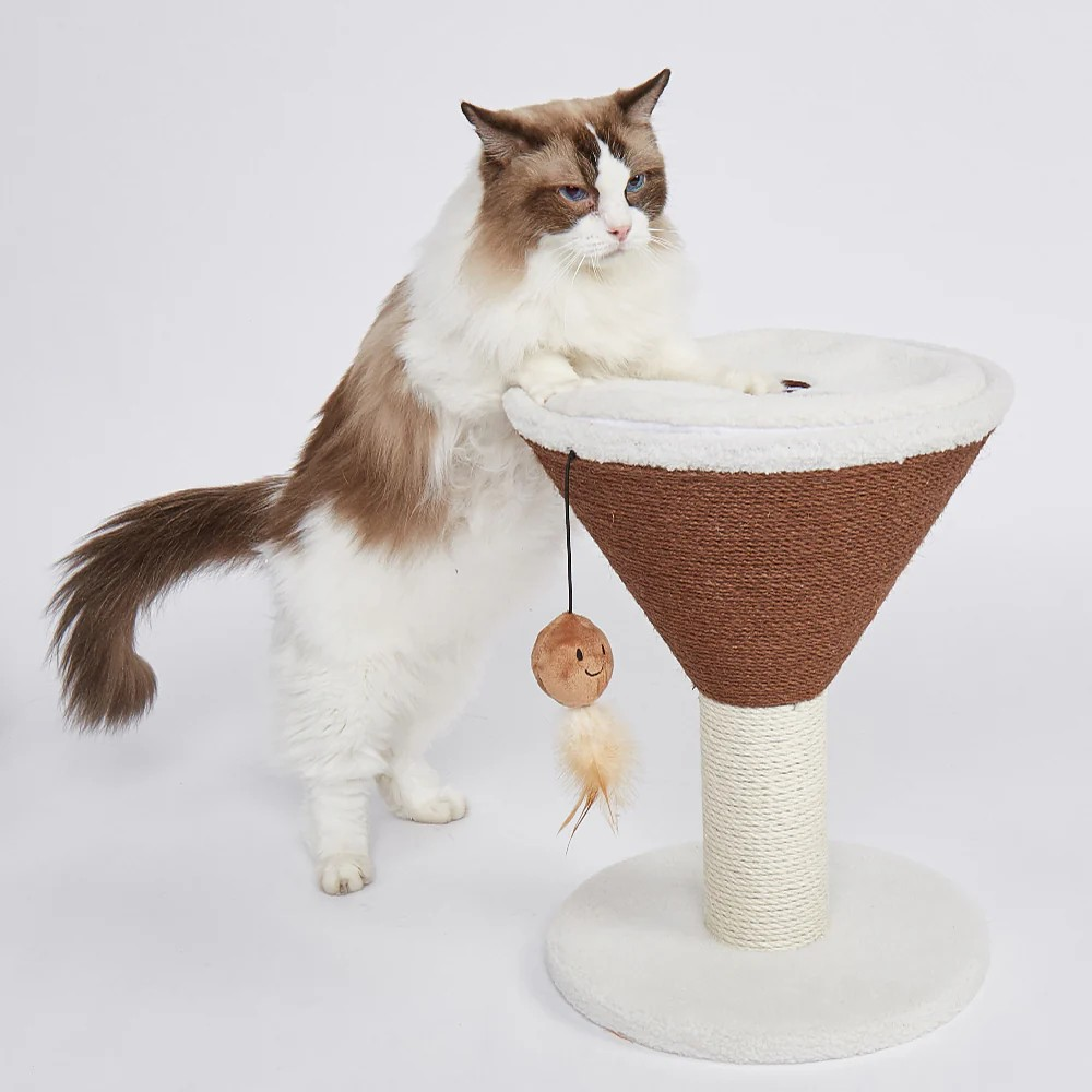 FOFOS Trụ Cào Móng Hình Ly Cà Phê Espresso Martini Cho Mèo – Kèm Bóng Lông Vũ Treo 42x35x35cm