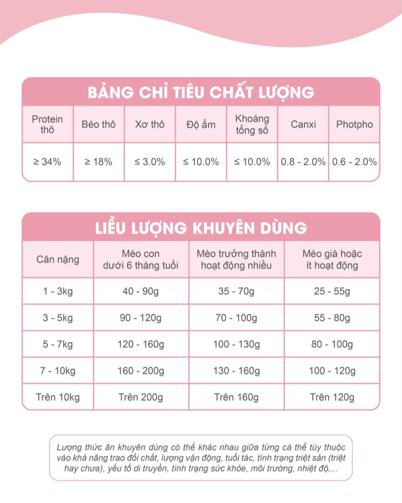 Catsrang Thức Ăn Hạt Dành Cho Mèo Con Túi 400g