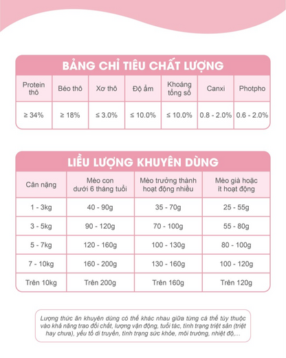 Catsrang Thức Ăn Hạt Dành Cho Mèo Con Túi 400g