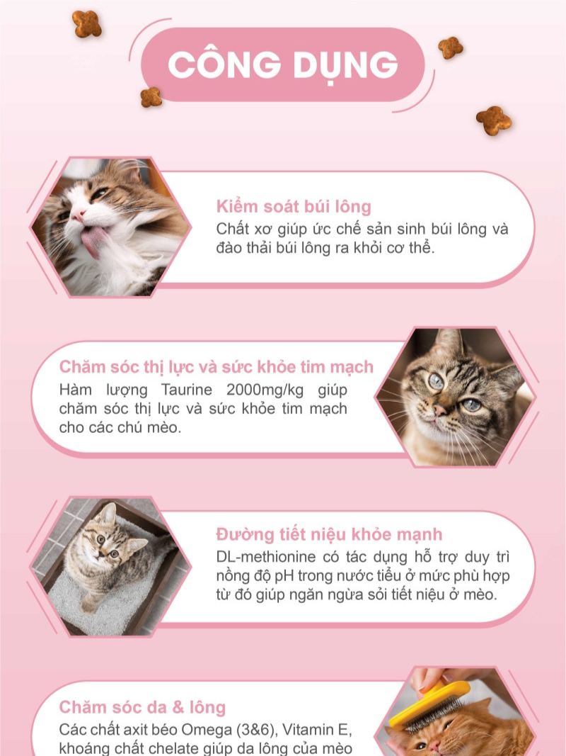 Catsrang Thức Ăn Hạt Dành Cho Mèo Con Túi 2 kg