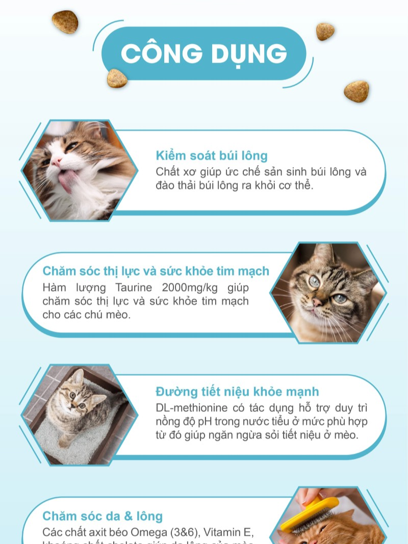 Catsrang Thức Ăn Hạt Dành Cho Mèo Trưởng Thành Túi 1.5kg