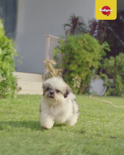 Pedigree Thức Ăn Hạt Dành Cho Chó Cỡ Nhỏ Vị Gan Nướng