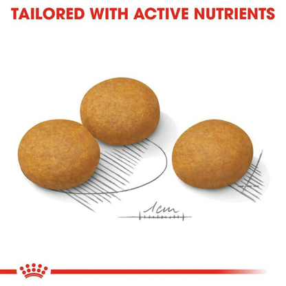 Royal Canin Maxi Dermacomfort Thức Ăn Hạt Dành Cho Chó Da Nhạy Cảm Túi 1kg