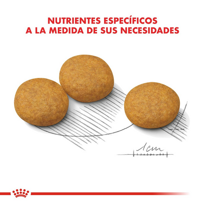 Royal Canin Medium Dermacomfort Thức Ăn Hạt Dành Cho Chó Da Nhạy Cảm Túi 1kg