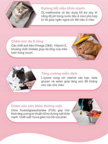 Catsrang Thức Ăn Hạt Dành Cho Mèo Con Túi 400g