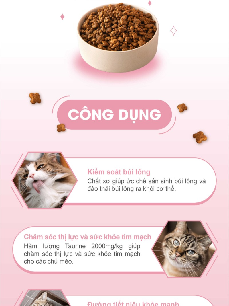 Catsrang Thức Ăn Hạt Dành Cho Mèo Mẹ Và Mèo Con Túi 400g