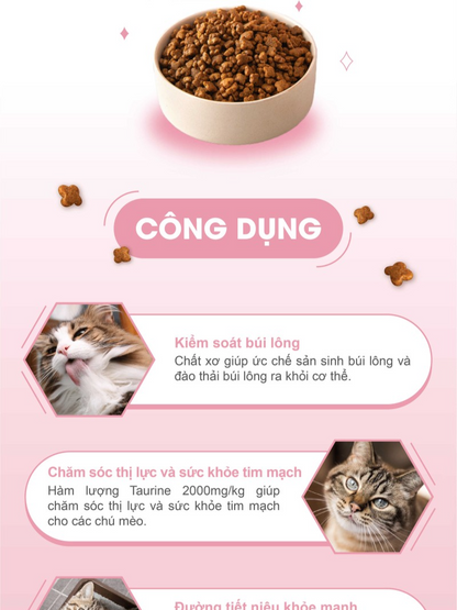 Catsrang Thức Ăn Hạt Dành Cho Mèo Mẹ Và Mèo Con Túi 400g