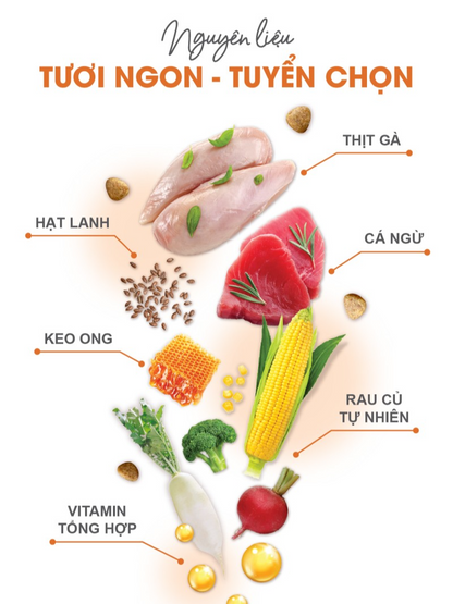 Catsrang Thức Ăn Hạt Dành Cho Mèo Ở Mọi Lứa Tuổi 5kg