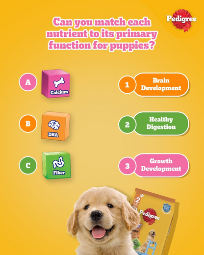 Pedigree Thức Ăn Hạt Stage 2 Dành Cho Chó Con Vị Gà, Trứng & Sữa