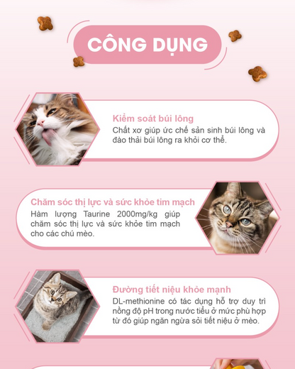 Catsrang Thức Ăn Hạt Dành Cho Mèo Con Túi 400g